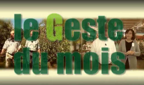 Le Geste du mois