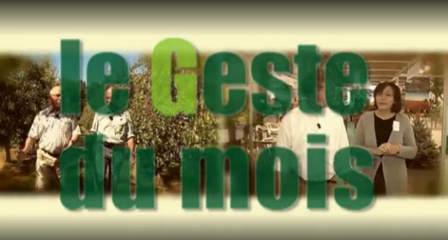 Le Geste du mois