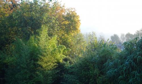 Un dimanche d'automne dans le brouillard