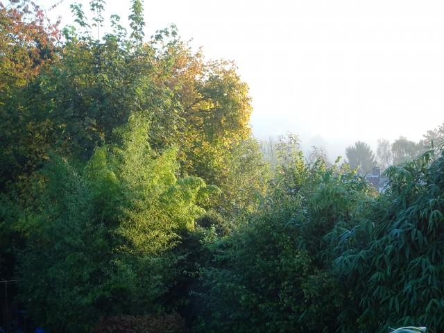 Un dimanche d'automne dans le brouillard