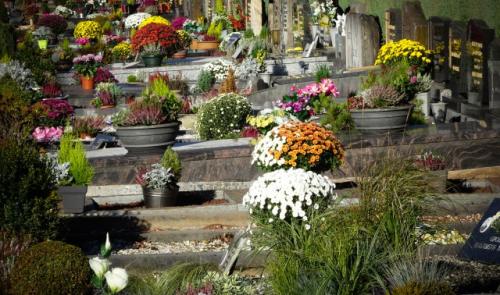 Qui a dit qu'on fleurissait moins les cimetières ?
