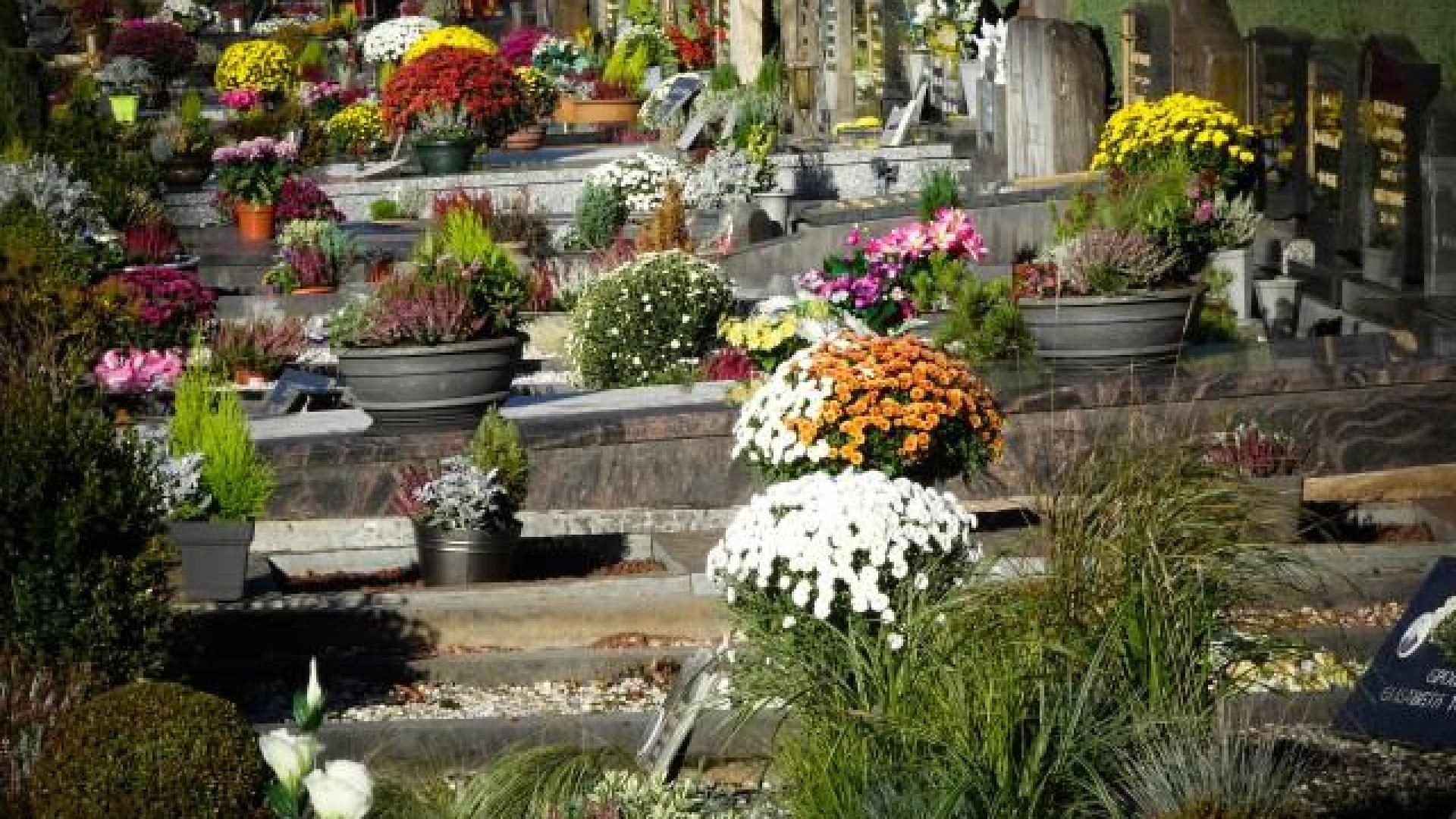 Qui a dit qu'on fleurissait moins les cimetières ?
