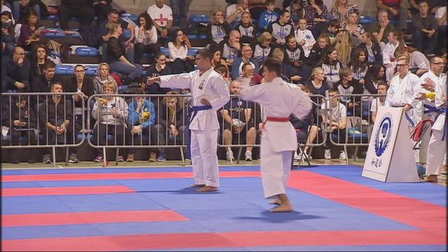 Visé : championnat européen de karaté Wudokai 