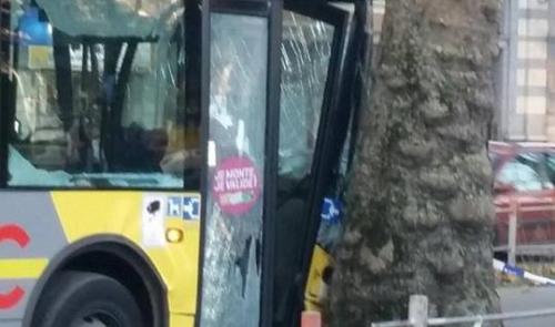 Un bus percute un arbre : une dizaine de blessés