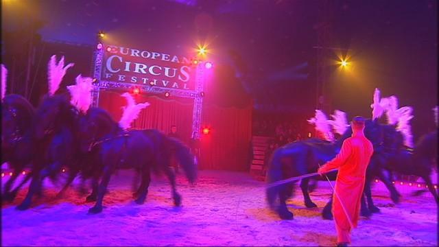 European Circus Festival : déjà la vingt-cinquième édition 