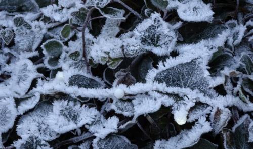 Un début d'année 2017 sous la grisaille et la neige