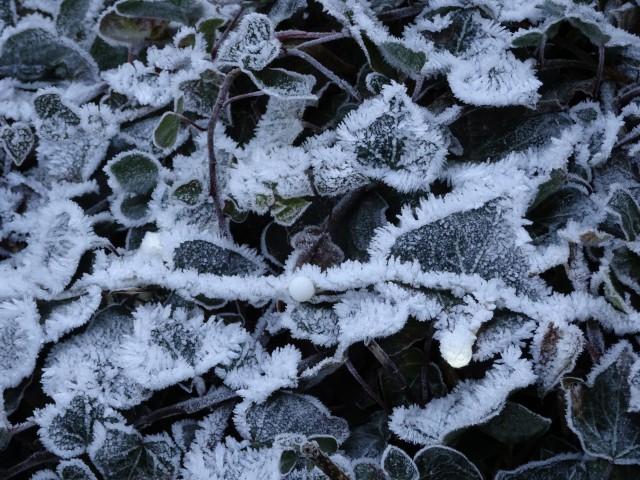 Un début d'année 2017 sous la grisaille et la neige