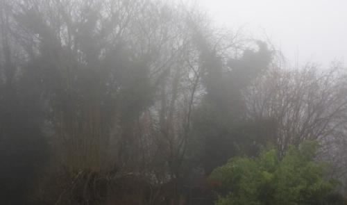 Attention au brouillard