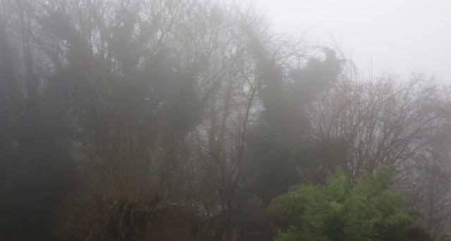 Attention au brouillard