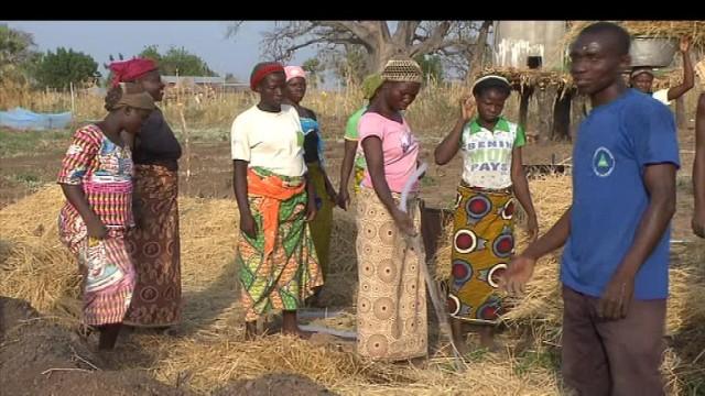 Le travail de l'ONG Iles de Paix au Bénin