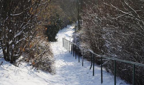 La neige continuera d'être au rendez-vous ce week-end