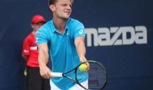 David Goffin battu en trois sets à l'Australian Open