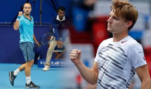 David Goffin bat aisément Steve Darcis à Sofia