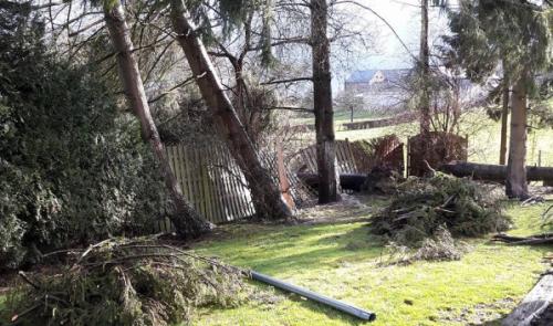 Des mesures pour faire face au vent dans la région