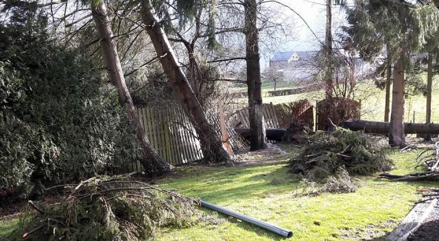 Des mesures pour faire face au vent dans la région