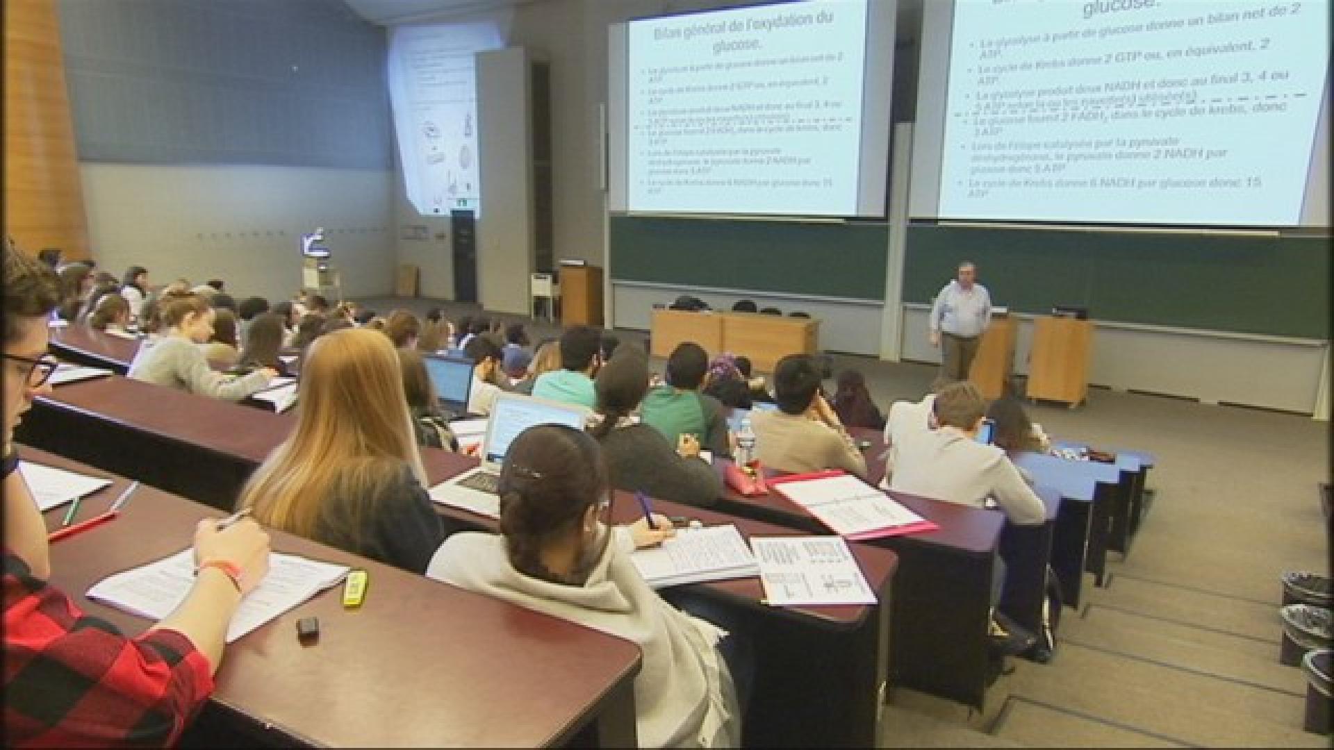 Des rhétoriciens en immersion à l'université de Liège 