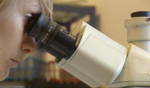 Université : thérapie cellulaire pour traiter l'asthme 