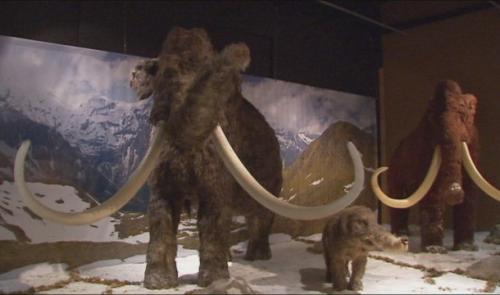 25 000 visiteurs pour le Monde des Géants de l'âge de Glace