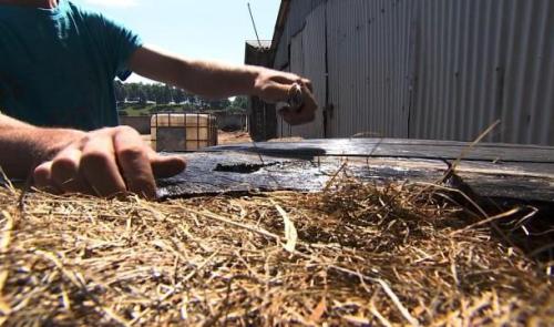 Les bâches agricoles ne sont plus collectées 