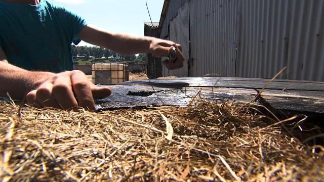 Les bâches agricoles ne sont plus collectées 