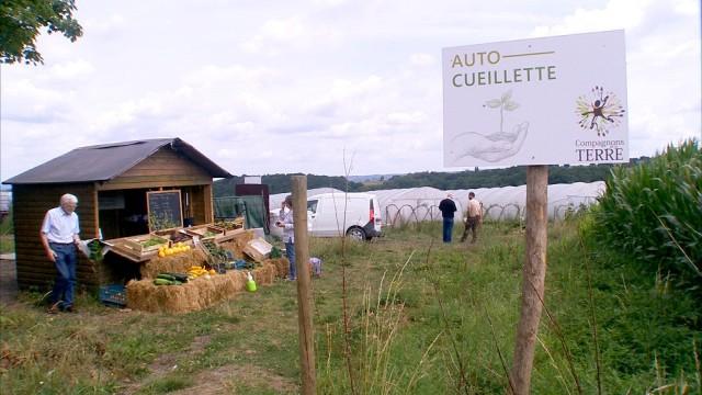 Un marché circuit court à Mortier