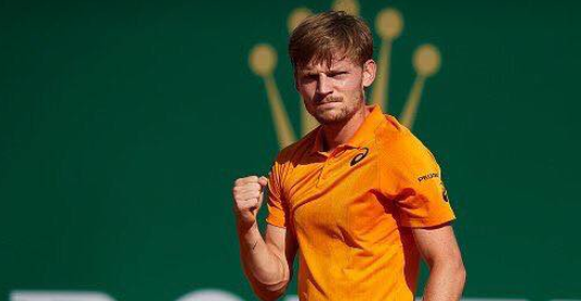 David Goffin ne perd qu'une place au classement ATP