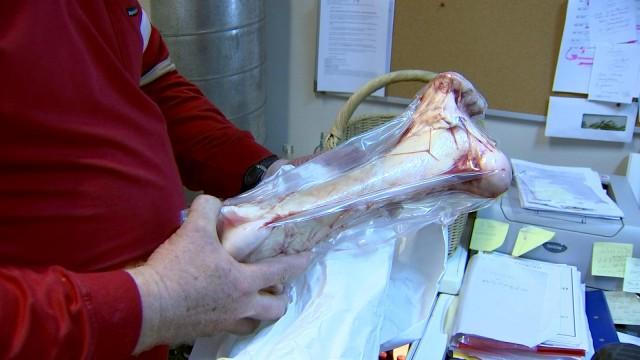 Mati L'Ohe est enterré... dans la joie et les pleurs ! 