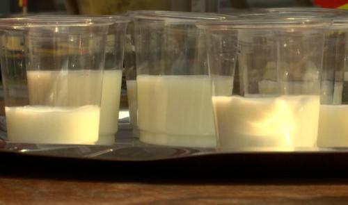 Producteurs laitiers : la crise du lait toujours bien réelle