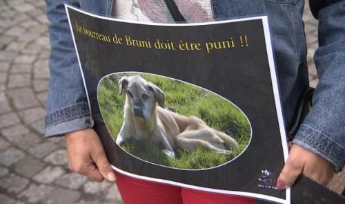 Suspension du prononcé pour le propriétaire de Bruni le labrador 