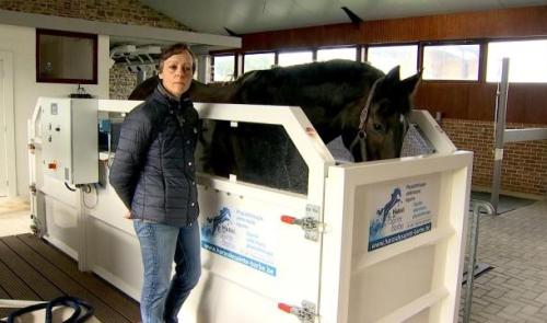 Engis : un centre de revalidation pour les chevaux