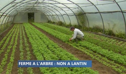 Extension de Lantin : une ferme bio en péril 