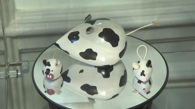 Ce Liégeois voit des souris partout !