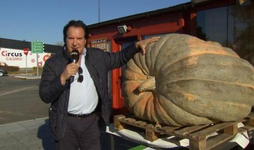 Un potiron de 605 kilos pour le Resto du Coeur  