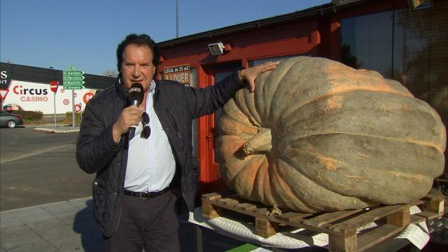 Un potiron de 605 kilos pour le Resto du Coeur  