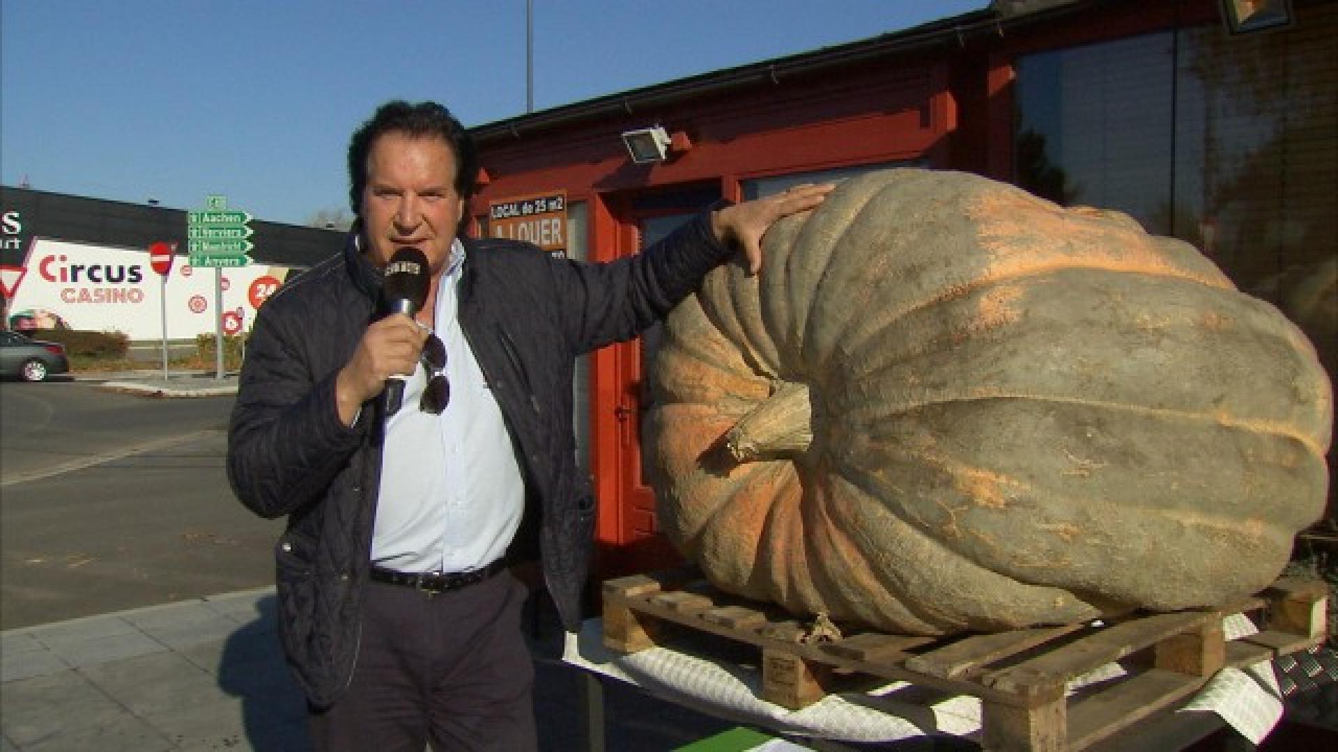 Un potiron de 605 kilos pour le Resto du Coeur  