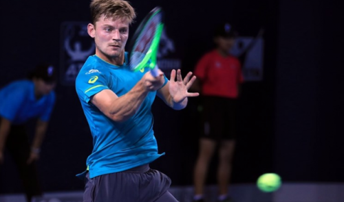 David Goffin Mérite Sportif 2017 