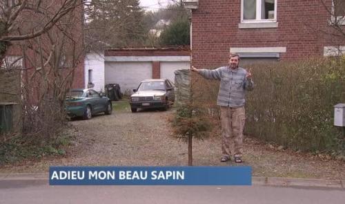 Collecte de sapins : aussi pour les grands feux...