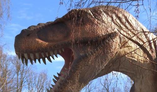 Des dinosaures au Mont Mosan