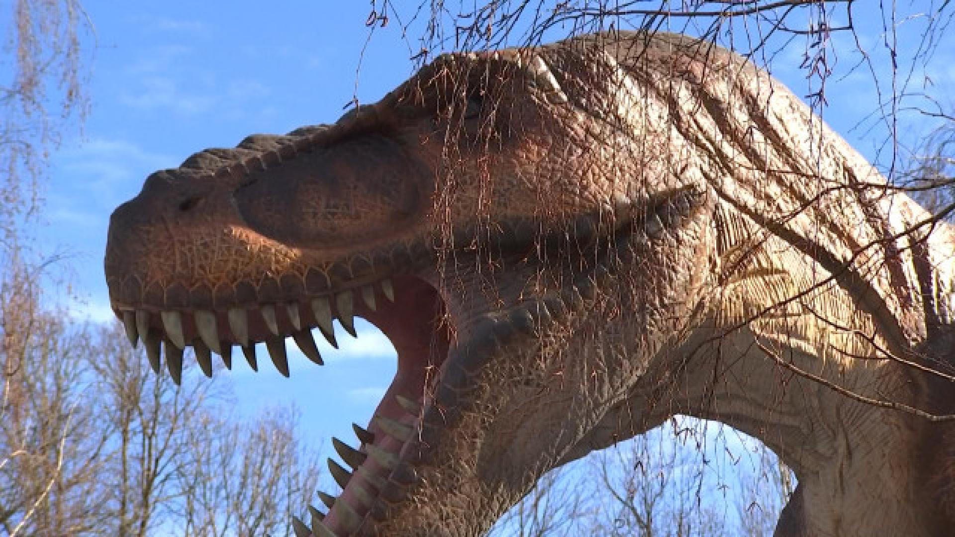 Des dinosaures au Mont Mosan