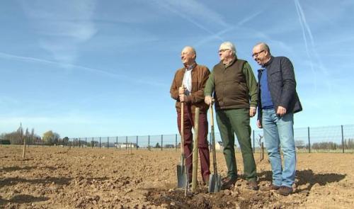 Le Rotary plante 100 arbres fruitiers à Hannut