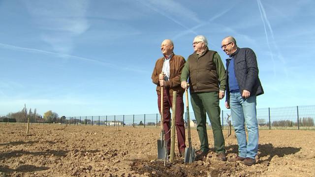 Le Rotary plante 100 arbres fruitiers à Hannut