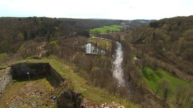 Découvertes multiples au château de Logne 