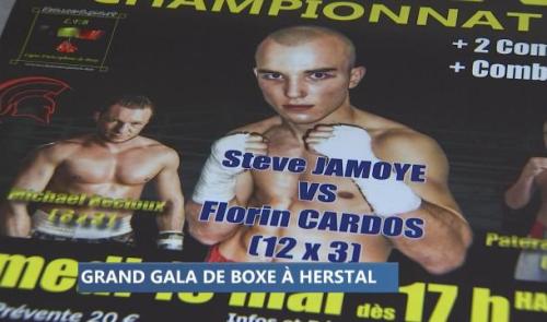 Herstal: un titre européen en jeu lors du gala de boxe