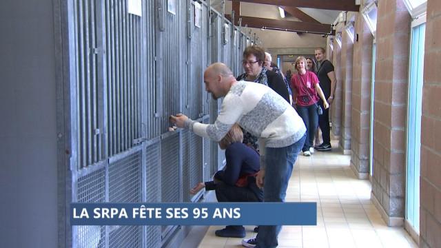 La Société Royale Protectrice des Animaux fête ses 95 ans