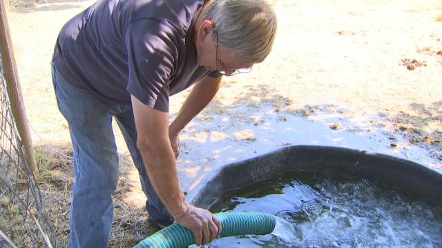 Tournées eau et foin pour les Amis des Chevaux du Marais