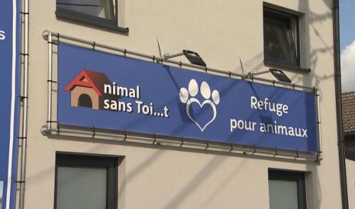 Nouveau bâtiment pour Animal sans Toi...t