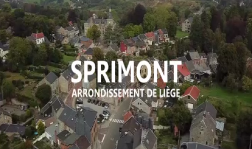 Débat Communales 2018 : Sprimont