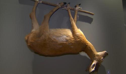 Le Préhistomuseum et l'archéologie de la gastronomie