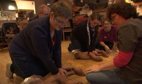 Animaux : se former aux premiers soins 