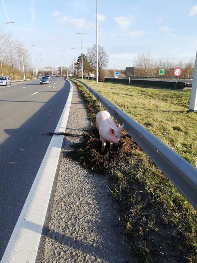 E40 - Chaussée fermée à hauteur de Loncin